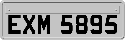 EXM5895