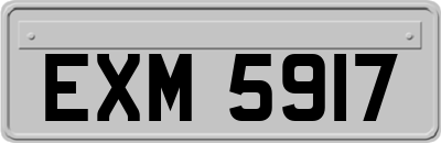 EXM5917
