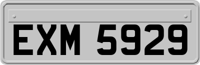 EXM5929