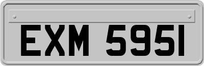 EXM5951