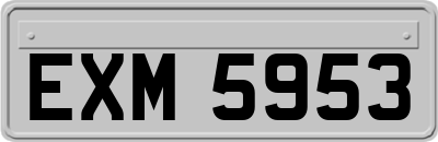 EXM5953