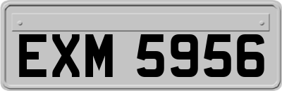 EXM5956