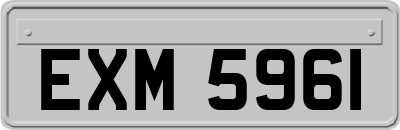 EXM5961