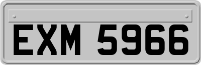 EXM5966