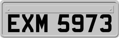 EXM5973