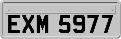 EXM5977