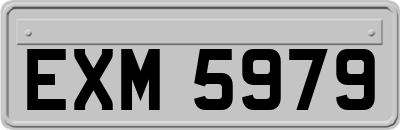 EXM5979