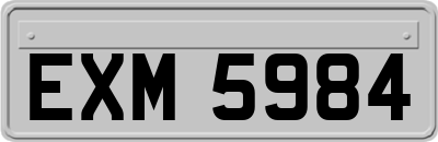EXM5984