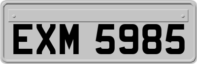 EXM5985