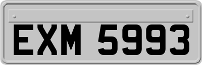 EXM5993