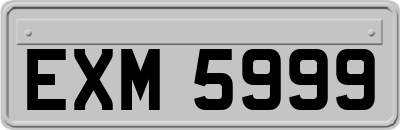 EXM5999