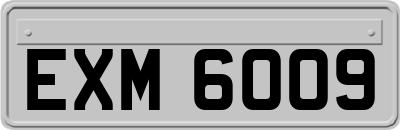 EXM6009