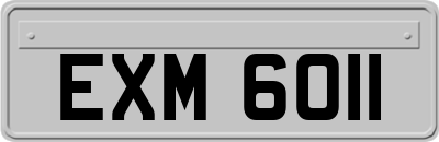 EXM6011