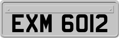 EXM6012