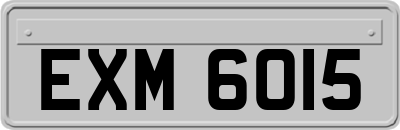 EXM6015