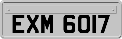 EXM6017