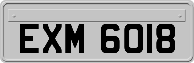 EXM6018