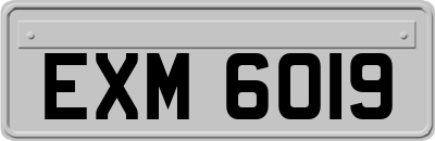 EXM6019
