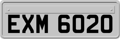 EXM6020