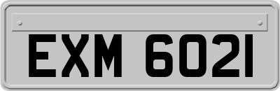 EXM6021