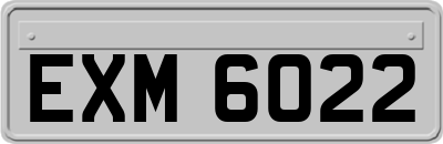 EXM6022