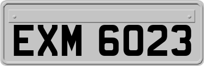 EXM6023