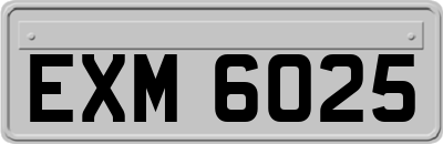 EXM6025