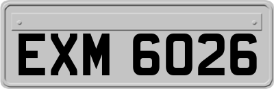 EXM6026