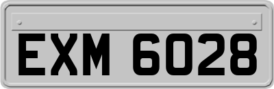 EXM6028