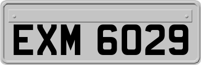 EXM6029