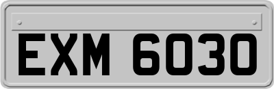 EXM6030