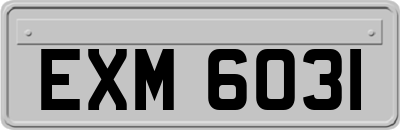 EXM6031