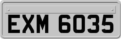 EXM6035