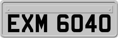 EXM6040