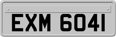 EXM6041