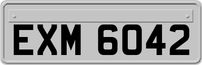 EXM6042