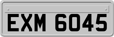 EXM6045