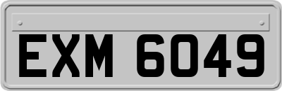 EXM6049