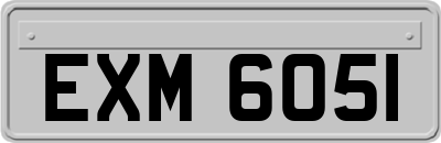EXM6051