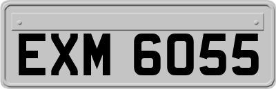 EXM6055