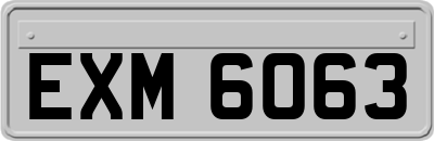 EXM6063