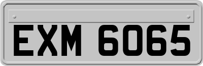 EXM6065