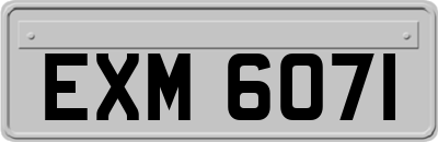 EXM6071