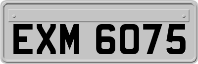 EXM6075