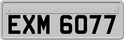 EXM6077