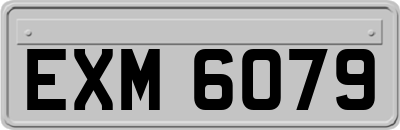 EXM6079