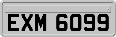 EXM6099