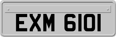 EXM6101