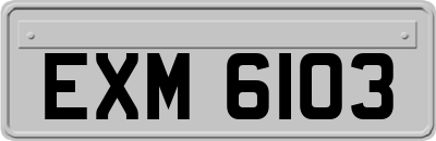 EXM6103
