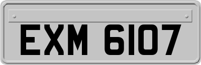 EXM6107